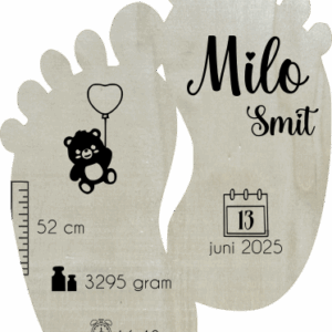 Geboorteplank voetjes